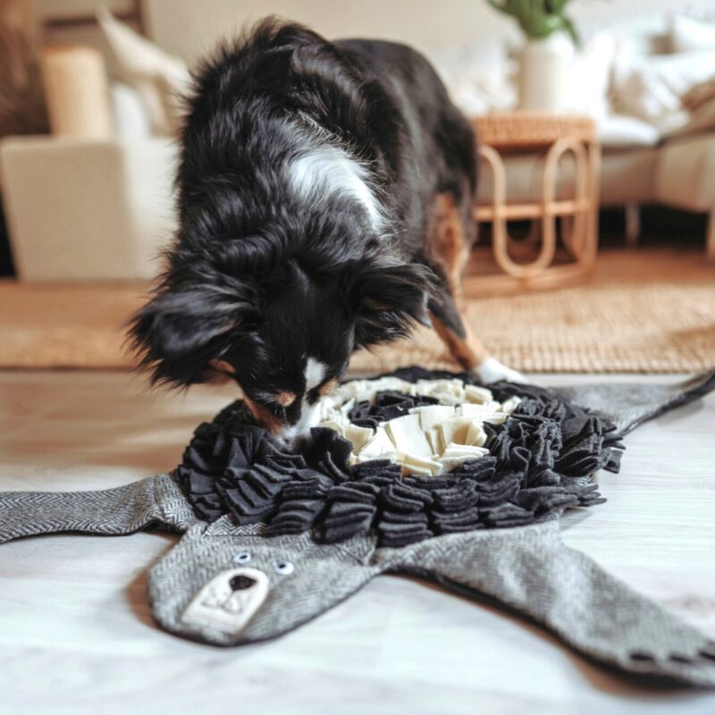 Hundespielzeug / Dog Toy BILLUND Bär Schnüffelteppich Snuffelmat Beer - 100% Gerecycled Materiaal