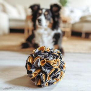 Hundespielzeug / Dog Toy EIBY Schnüffelball Snuffelbal Hond - 100% Gerecycled Materiaal