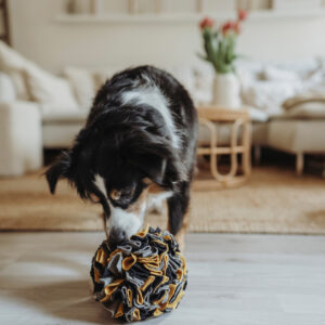 HUNTER_21608_69357_002_live_22-lpr.jpg Snuffelbal Hond - 100% Gerecycled Materiaal