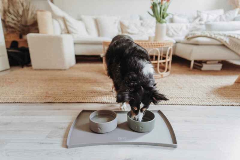 HUNTER_21685_69566_002_live_22-lpr-1.jpg Placemat Siliconen Taupe