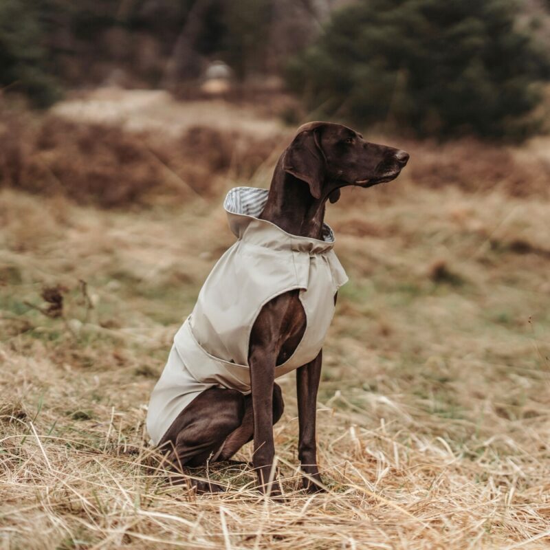 Hunde-Regenmantel / Rain Coat for Dogs MILFORD taupe Regenjas Hond Taupe