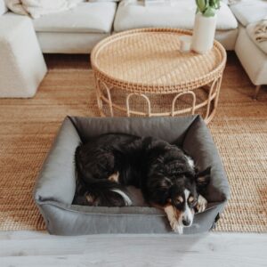 Orthopädisches Hundesofa / Orthopaedic Dog Sofa MERIDA anthrazit Orthopedische Hondenmand Grijs