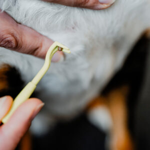 69214; 69359; 77555 Tekenhaak Set (2 stuks)