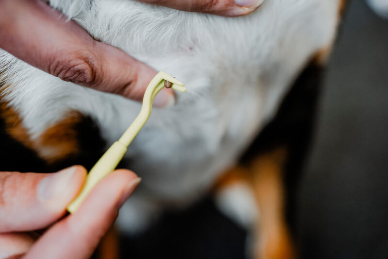 69214; 69359; 77555 Tekenhaak Set (2 stuks)