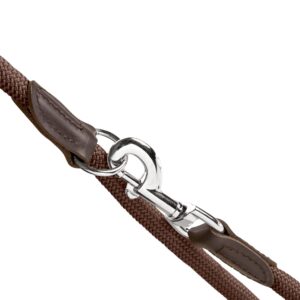 Handsfree Hondenriem Bruin