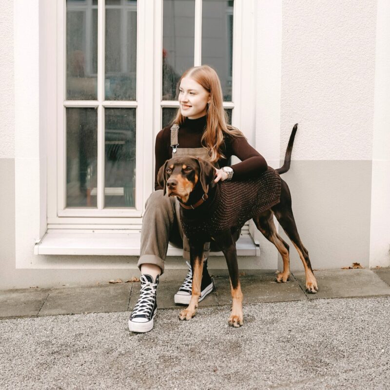 Hunepullover / Dog Pullover FINJA braun Hondentrui Bruin