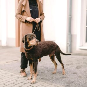 Hunepullover / Dog Pullover FINJA braun Hondentrui Bruin