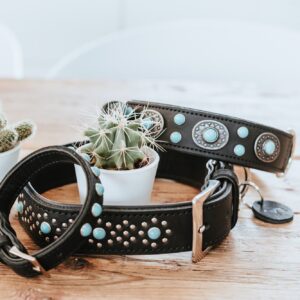 Halsband / Collar SIOUX Leren Halsband Sioux