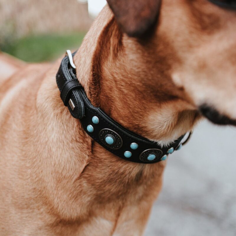 Halsband / Collar SIOUX Leren Halsband Sioux