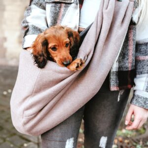 Tragebeutel / Carry Bag LOS ANGELES taupe/grau Draagzak Hondje & Puppy