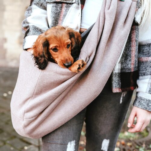 Tragebeutel / Carry Bag LOS ANGELES taupe/grau Draagzak Hondje & Puppy
