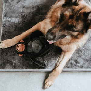 65722, 67692, 67693, 67694 Orthopedische Hondenmat Tirano