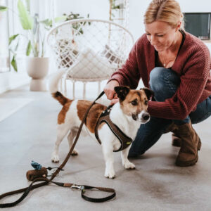 HUNTER_22419_66672_001_live_22-lpr-1.jpg Hondenriem Hilo Bruin