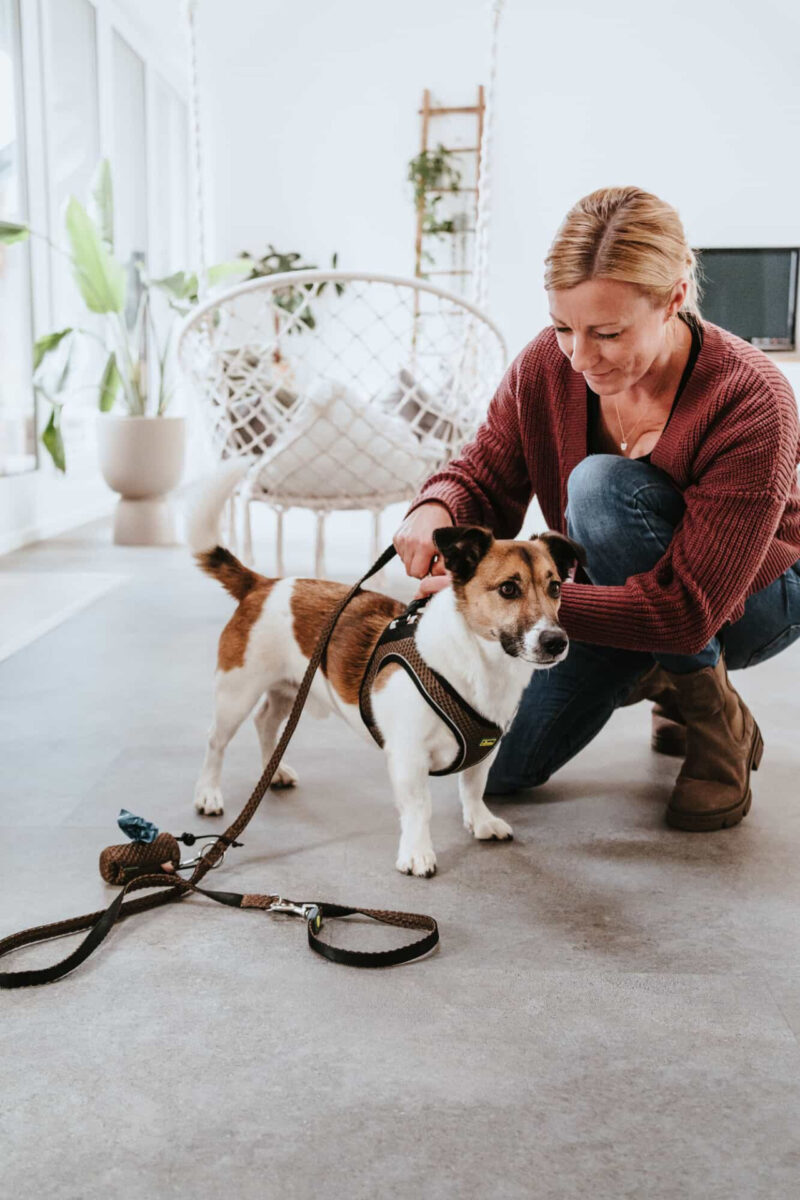 HUNTER_22419_66672_001_live_22-lpr-1.jpg Hondenriem Hilo Bruin