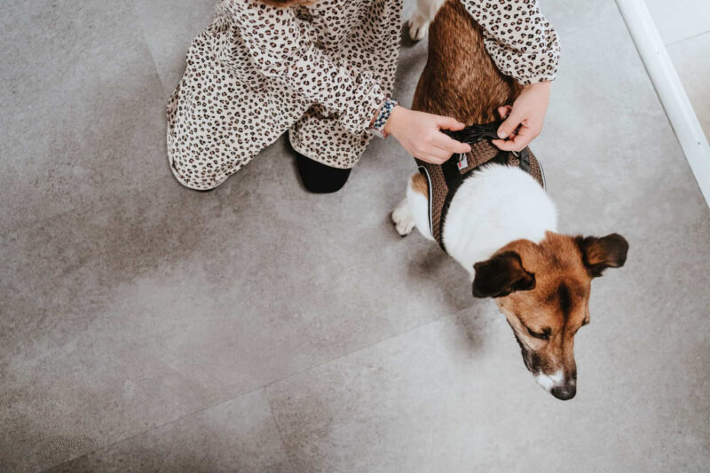 HUNTER_22421_66681_002_live_22-lpr.jpg Hondentuig Hilo Bruin