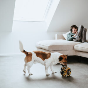 HUNTER_22458_69357_004_live_22-lpr.jpg Snuffelbal Hond - 100% Gerecycled Materiaal