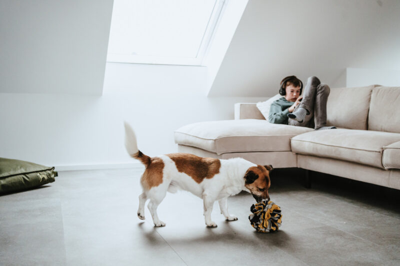 HUNTER_22458_69357_004_live_22-lpr.jpg Snuffelbal Hond - 100% Gerecycled Materiaal