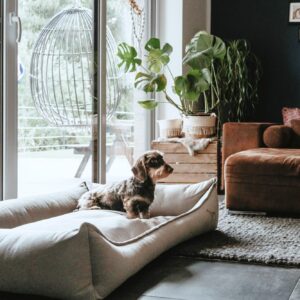 Orthopädisches Hundesofa / Orthopaedic Dog Sofa MERIDA taupe Orthopedische Hondenmand Bruin