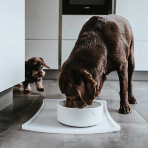 Placemat Siliconen Wit