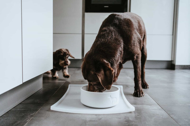 Placemat Siliconen Wit