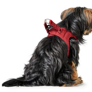 HUNTER_22765_69913_002_image_22-lpr.jpg Leren Hondentuigje Liefde