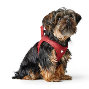 HUNTER_22767_69913_003_image_22-lpr.jpg Leren Hondentuigje Liefde