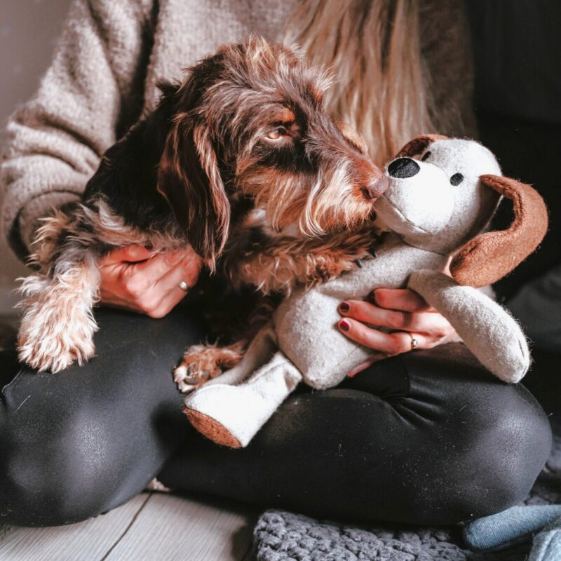 Hundespielzeug / Dog Toy MARLE Hund Hondenknuffel Max - 100% Gerecycled Materiaal