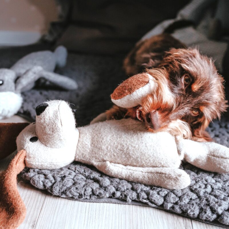 Hundespielzeug / Dog Toy MARLE Hund Hondenknuffel Max - 100% Gerecycled Materiaal