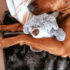 Hundespielzeug / Dog Toy FARO Hund Hondenknuffel Bello