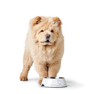 HUNTER_23114_67659_001_image_22_alpha-lpr-e1705323015976.jpg Melamine Voerbak Valencia