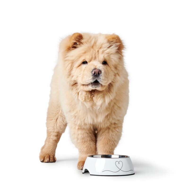 HUNTER_23114_67659_001_image_22_alpha-lpr-e1705323015976.jpg Melamine Voerbak Valencia