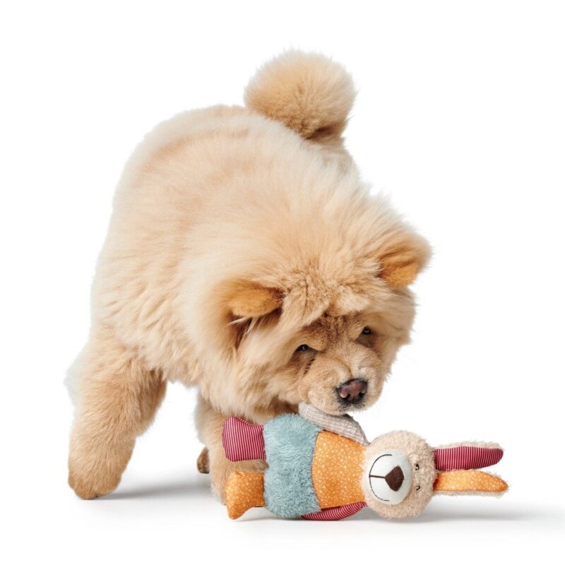 Hondenknuffel Konijn