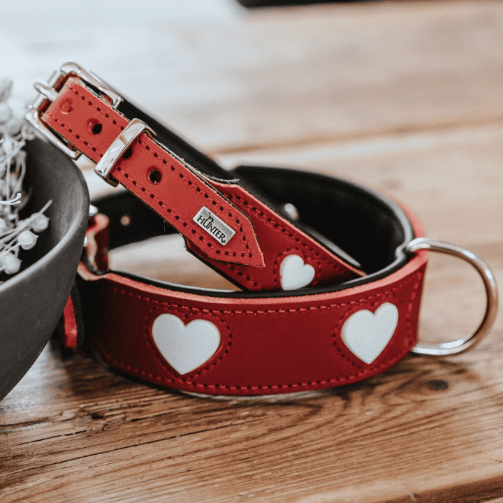 HUNTER_23532_IG_LOVE_Collar_1080x1080px_V2-lpr_cleanup.jpg Leren Halsband Hond Liefde