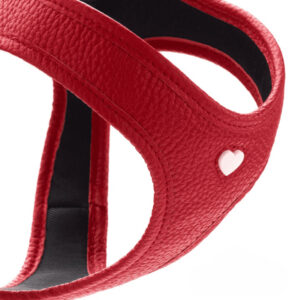 HUNTER_23540_IG_LOVE_Harness_1080x1080px_V2-lpr_cleanup.jpg Leren Hondentuigje Liefde