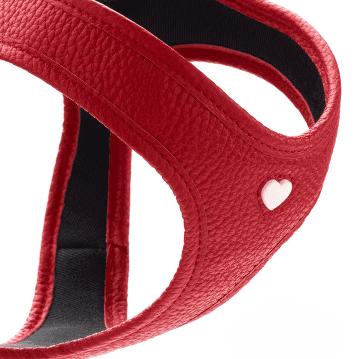 HUNTER_23540_IG_LOVE_Harness_1080x1080px_V2-lpr_cleanup.jpg Leren Hondentuigje Liefde