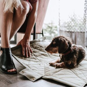 Tragetasche & Hundedecke / Carry bag & Dog blanket MADISON Hondentas & Hondendeken Khaki