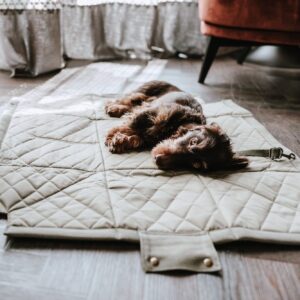 Tragetasche & Hundedecke / Carry bag & Dog blanket MADISON Hondentas & Hondendeken Khaki