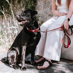 HUNTER_23948_69900_011_live_23-lpr.jpg Leren Hondenriem Liefde