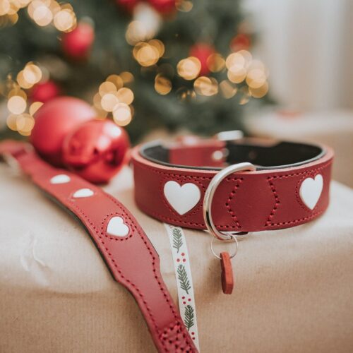 Halsband / Collar LOVE Leren Halsband Hond Liefde