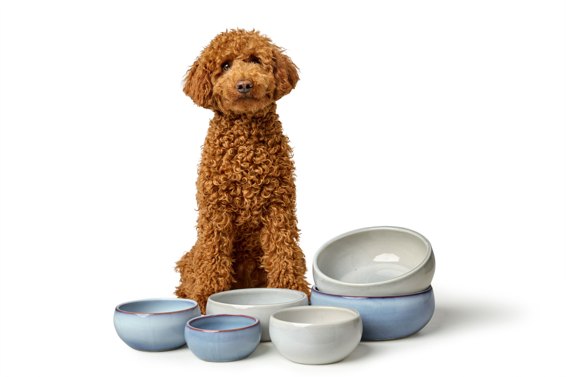 Downloadpagina gratis pdf hondenvoer 1 HUNTER 24424 69983 004 image 23 alpha lpr