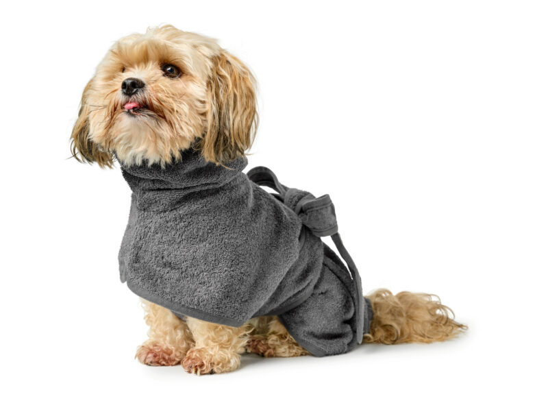 HUNTER_24597_69428_001_image_23_alpha-lpr.jpg Hondenbadjas Katoen Grijs