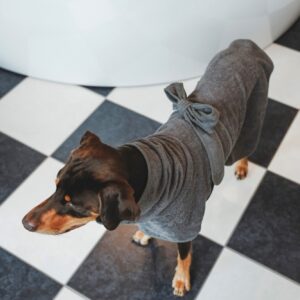 Hunde-Bademantel / Dog Bathrobe RIGA anthrazit Hondenbadjas Katoen Grijs