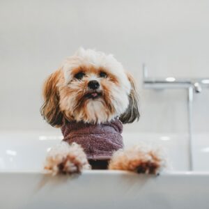 Hunde-Bademantel / Dog Bathrobe RIGA altrosa Hondenbadjas Katoen Oudroze