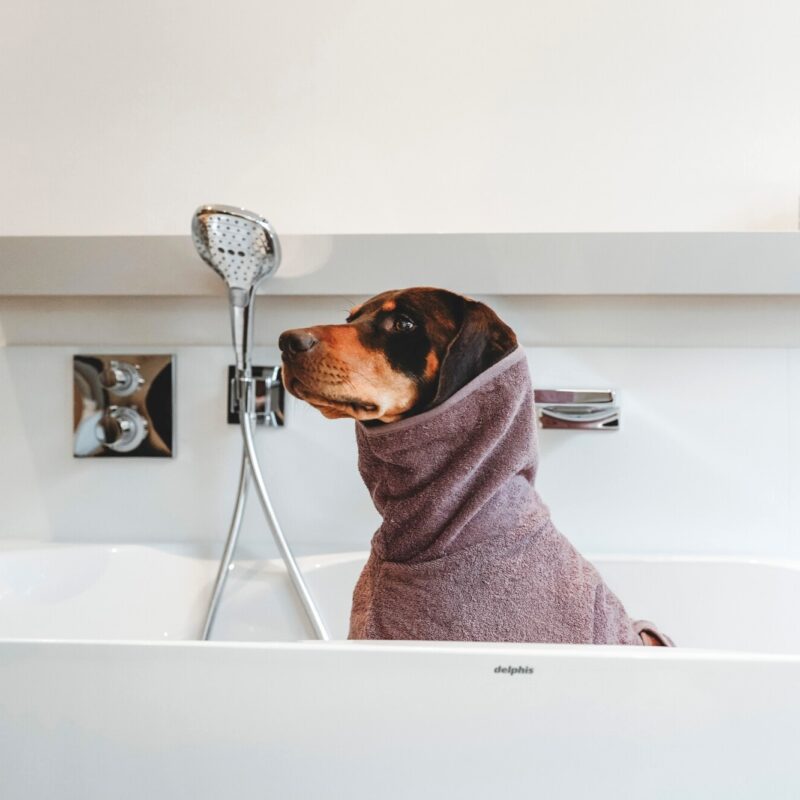 Hunde-Bademantel / Dog Bathrobe RIGA altrosa Hondenbadjas Katoen Oudroze