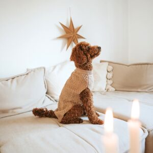 Hundepullover / Dog pullover MALMÖ beige Hondentrui Beige