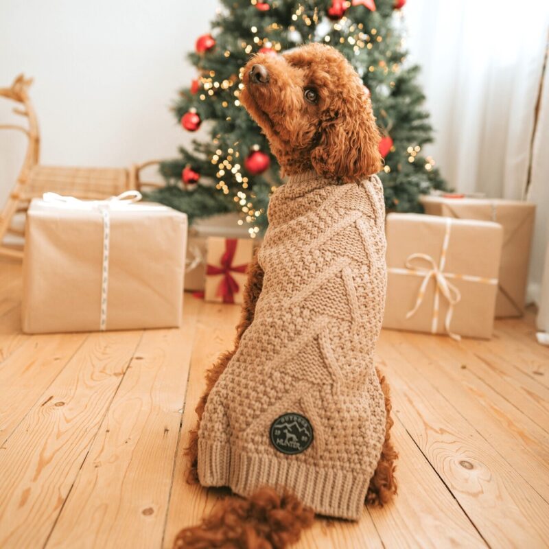 Hundepullover / Dog pullover MALMÖ beige Hondentrui Beige