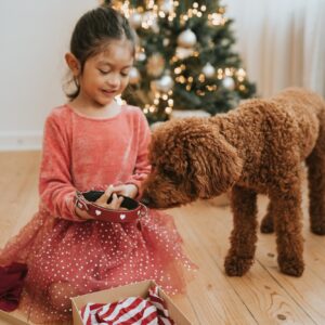 Halsband / Collar LOVE Leren Halsband Hond Liefde