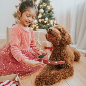 Halsband / Collar LOVE Leren Halsband Hond Liefde