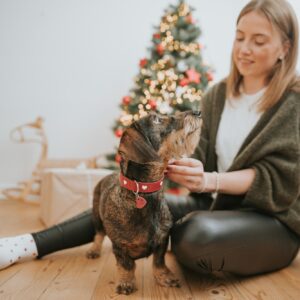 Halsband / Collar LOVE Leren Halsband Hond Liefde