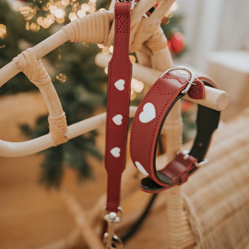 Halsband / Collar LOVE Leren Halsband Hond Liefde